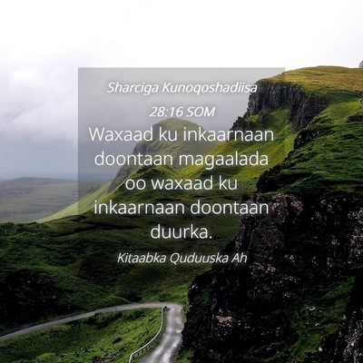 Picture 04 - Sharciga Kunoqoshadiisa 28:16 SOM - Waxaad ku inkaarnaan doontaan magaalada oo waxaad - Bible Verse Picture