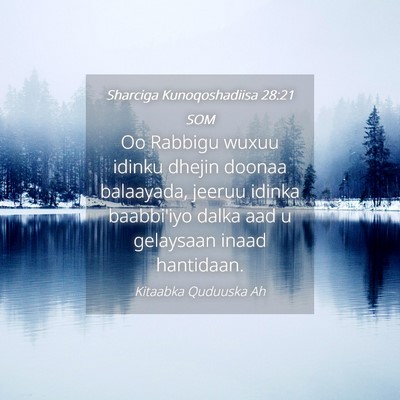 Picture 04 - Sharciga Kunoqoshadiisa 28:21 SOM - Oo Rabbigu wuxuu idinku dhejin doonaa balaayada, - Bible Verse Picture