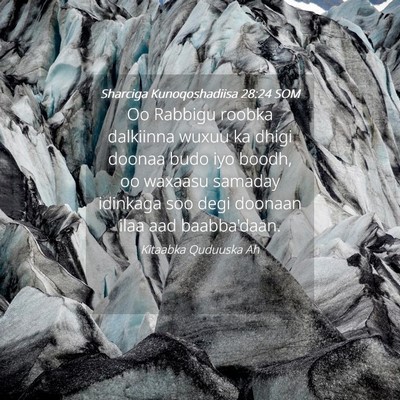 Picture 04 - Sharciga Kunoqoshadiisa 28:24 SOM - Oo Rabbigu roobka dalkiinna wuxuu ka dhigi doonaa - Bible Verse Picture