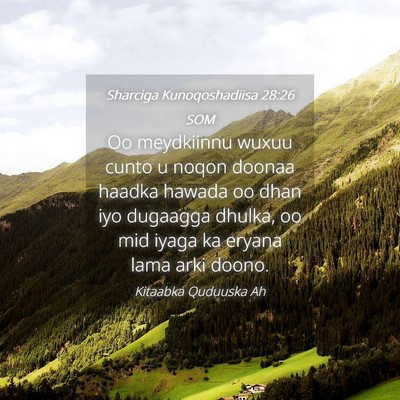 Picture 04 - Sharciga Kunoqoshadiisa 28:26 SOM - Oo meydkiinnu wuxuu cunto u noqon doonaa haadka - Bible Verse Picture
