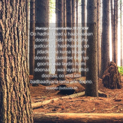Picture 04 - Sharciga Kunoqoshadiisa 28:29 SOM - Oo hadhkii baad u haabhaaban doontaan sida - Bible Verse Picture