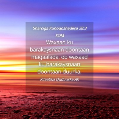 Picture 04 - Sharciga Kunoqoshadiisa 28:3 SOM - Waxaad ku barakaysnaan doontaan magaalada, oo - Bible Verse Picture