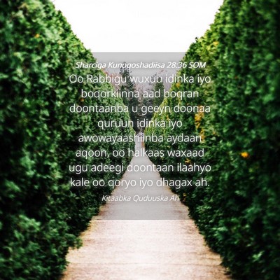 Picture 04 - Sharciga Kunoqoshadiisa 28:36 SOM - Oo Rabbigu wuxuu idinka iyo boqorkiinna aad - Bible Verse Picture