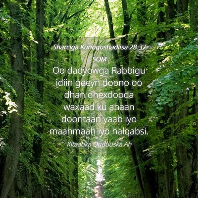 Picture 04 - Sharciga Kunoqoshadiisa 28:37 SOM - Oo dadyowga Rabbigu idiin geeyn doono oo dhan - Bible Verse Picture
