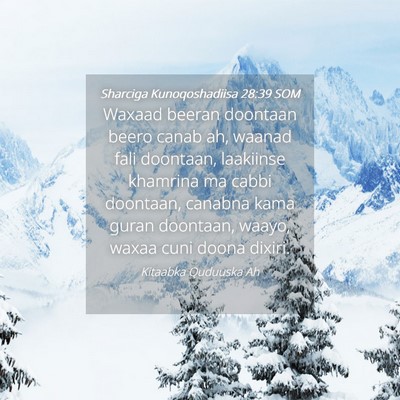 Picture 04 - Sharciga Kunoqoshadiisa 28:39 SOM - Waxaad beeran doontaan beero canab ah, waanad - Bible Verse Picture