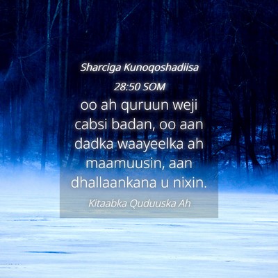 Picture 04 - Sharciga Kunoqoshadiisa 28:50 SOM - oo ah quruun weji cabsi badan, oo aan dadka - Bible Verse Picture