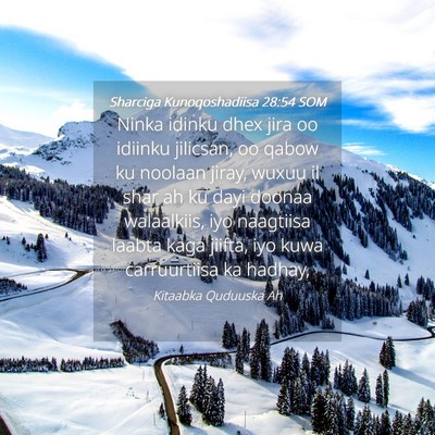 Picture 04 - Sharciga Kunoqoshadiisa 28:54 SOM - Ninka idinku dhex jira oo idiinku jilicsan, oo - Bible Verse Picture