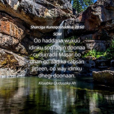 Picture 04 - Sharciga Kunoqoshadiisa 28:60 SOM - Oo haddana wuxuu idinku soo dejin doonaa - Bible Verse Picture
