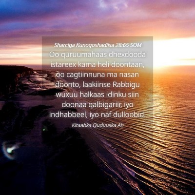 Picture 04 - Sharciga Kunoqoshadiisa 28:65 SOM - Oo quruumahaas dhexdooda istareex kama heli - Bible Verse Picture