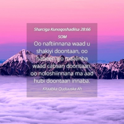 Picture 04 - Sharciga Kunoqoshadiisa 28:66 SOM - Oo naftiinnana waad u shakiyi doontaan, oo habeen - Bible Verse Picture
