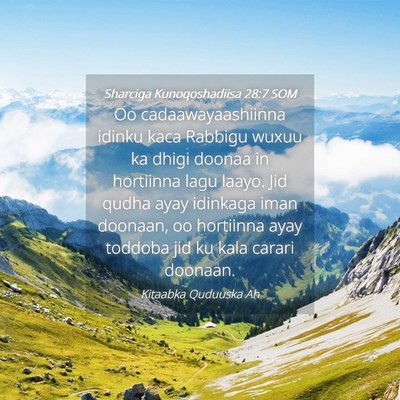 Picture 04 - Sharciga Kunoqoshadiisa 28:7 SOM - Oo cadaawayaashiinna idinku kaca Rabbigu wuxuu ka - Bible Verse Picture