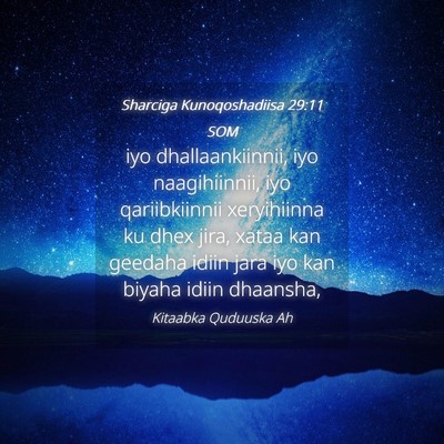 Picture 04 - Sharciga Kunoqoshadiisa 29:11 SOM - iyo dhallaankiinnii, iyo naagihiinnii, iyo - Bible Verse Picture
