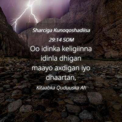 Picture 04 - Sharciga Kunoqoshadiisa 29:14 SOM - Oo idinka keligiinna idinla dhigan maayo axdigan - Bible Verse Picture