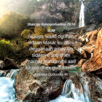 Picture 04 - Sharciga Kunoqoshadiisa 29:16 SOM - (waayo, waad ogtihiin sidaan Masar ku dhex - Bible Verse Picture