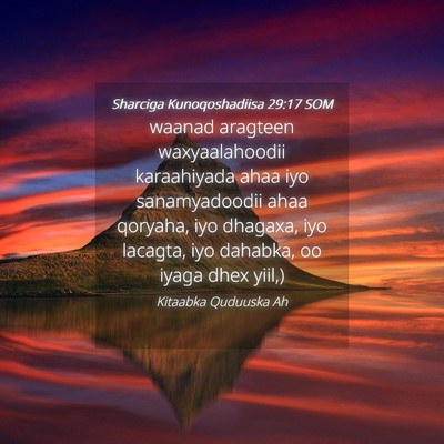 Picture 04 - Sharciga Kunoqoshadiisa 29:17 SOM - waanad aragteen waxyaalahoodii karaahiyada ahaa - Bible Verse Picture
