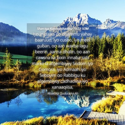 Picture 04 - Sharciga Kunoqoshadiisa 29:23 SOM - iyo in dalka oo dhammu yahay baaruud, iyo cusbo, - Bible Verse Picture