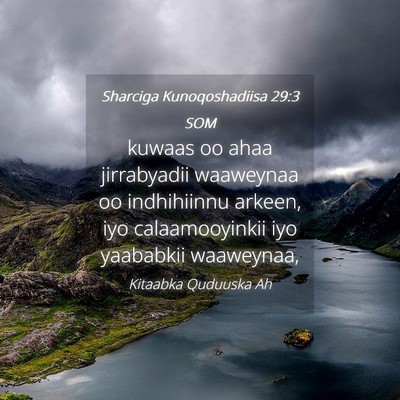 Picture 04 - Sharciga Kunoqoshadiisa 29:3 SOM - kuwaas oo ahaa jirrabyadii waaweynaa oo - Bible Verse Picture