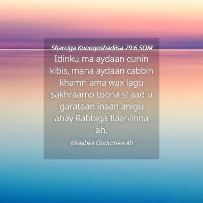 Picture 04 - Sharciga Kunoqoshadiisa 29:6 SOM - Idinku ma aydaan cunin kibis, mana aydaan cabbin - Bible Verse Picture