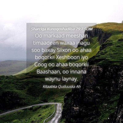 Picture 04 - Sharciga Kunoqoshadiisa 29:7 SOM - Oo markaad meeshan timaadeen waxaa inagu soo - Bible Verse Picture