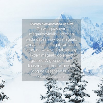Picture 04 - Sharciga Kunoqoshadiisa 3:4 SOM - Oo waagaasaynu magaalooyinkiisii oo dhan wada - Bible Verse Picture