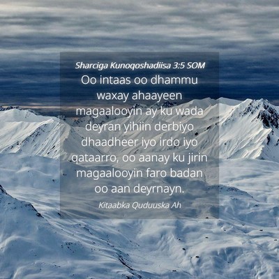 Picture 04 - Sharciga Kunoqoshadiisa 3:5 SOM - Oo intaas oo dhammu waxay ahaayeen magaalooyin ay - Bible Verse Picture