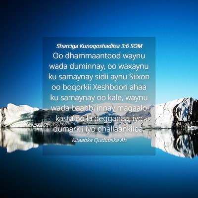 Picture 04 - Sharciga Kunoqoshadiisa 3:6 SOM - Oo dhammaantood waynu wada duminnay, oo waxaynu - Bible Verse Picture
