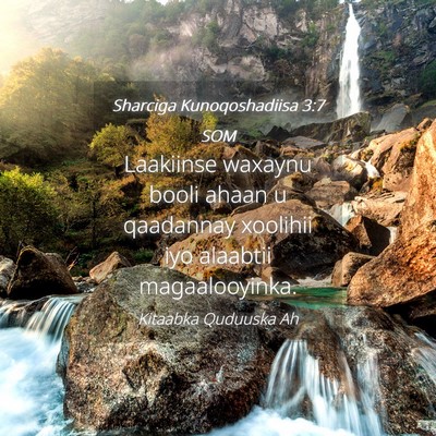 Picture 04 - Sharciga Kunoqoshadiisa 3:7 SOM - Laakiinse waxaynu booli ahaan u qaadannay - Bible Verse Picture