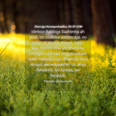 Picture 04 - Sharciga Kunoqoshadiisa 30:20 SOM - idinkoo Rabbiga Ilaahiinna ah jecel, oo codkiisa - Bible Verse Picture