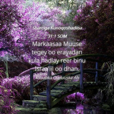 Picture 04 - Sharciga Kunoqoshadiisa 31:1 SOM - Markaasaa Muuse tegey oo erayadan kula hadlay - Bible Verse Picture