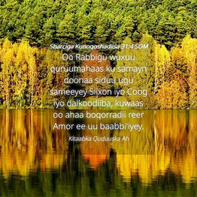 Picture 04 - Sharciga Kunoqoshadiisa 31:4 SOM - Oo Rabbigu wuxuu quruumahaas ku samayn doonaa - Bible Verse Picture