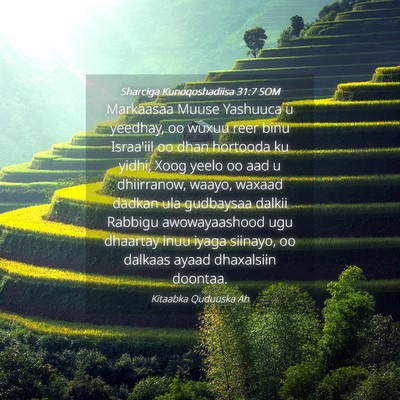 Picture 04 - Sharciga Kunoqoshadiisa 31:7 SOM - Markaasaa Muuse Yashuuca u yeedhay, oo wuxuu reer - Bible Verse Picture