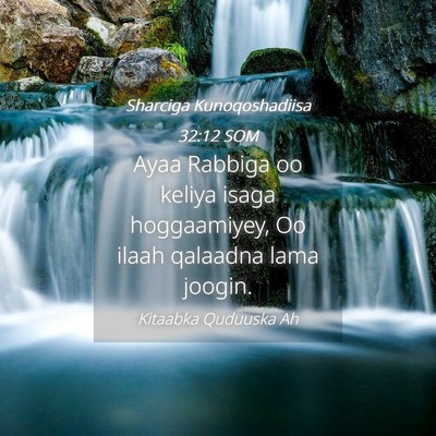 Picture 04 - Sharciga Kunoqoshadiisa 32:12 SOM - Ayaa Rabbiga oo keliya isaga hoggaamiyey, Oo - Bible Verse Picture
