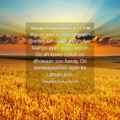 Picture 04 - Sharciga Kunoqoshadiisa 32:17 SOM - Waxay wax u sadaqeeyeen jinniyo aan Ilaah ahayn, - Bible Verse Picture