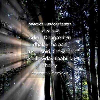 Picture 04 - Sharciga Kunoqoshadiisa 32:18 SOM - Adigu Dhagaxii ku dhalay ma aad xusuusnid, Oo - Bible Verse Picture