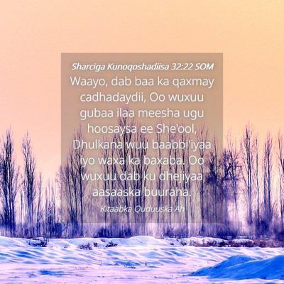 Picture 04 - Sharciga Kunoqoshadiisa 32:22 SOM - Waayo, dab baa ka qaxmay cadhadaydii, Oo wuxuu - Bible Verse Picture