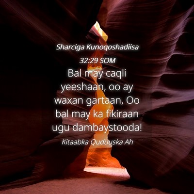 Picture 04 - Sharciga Kunoqoshadiisa 32:29 SOM - Bal may caqli yeeshaan, oo ay waxan gartaan, Oo - Bible Verse Picture