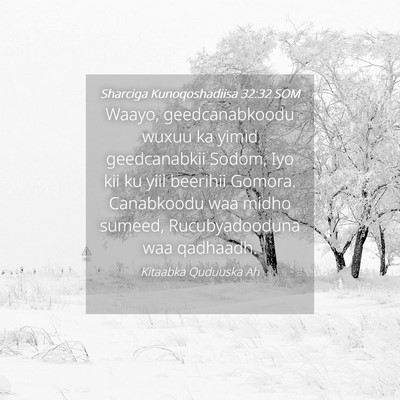 Picture 04 - Sharciga Kunoqoshadiisa 32:32 SOM - Waayo, geedcanabkoodu wuxuu ka yimid geedcanabkii - Bible Verse Picture
