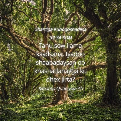 Picture 04 - Sharciga Kunoqoshadiisa 32:34 SOM - Tanu sow ilama kaydsana, Iyadoo shaabadaysan oo - Bible Verse Picture
