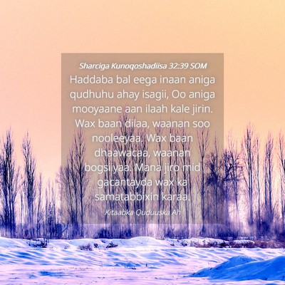 Picture 04 - Sharciga Kunoqoshadiisa 32:39 SOM - Haddaba bal eega inaan aniga qudhuhu ahay isagii, - Bible Verse Picture