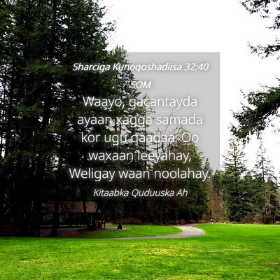 Picture 04 - Sharciga Kunoqoshadiisa 32:40 SOM - Waayo, gacantayda ayaan xagga samada kor ugu - Bible Verse Picture