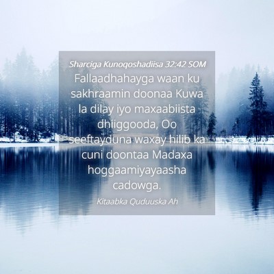 Picture 04 - Sharciga Kunoqoshadiisa 32:42 SOM - Fallaadhahayga waan ku sakhraamin doonaa Kuwa la - Bible Verse Picture