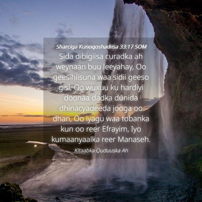 Picture 04 - Sharciga Kunoqoshadiisa 33:17 SOM - Sida dibigiisa curadka ah weynaan buu leeyahay, - Bible Verse Picture