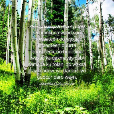 Picture 04 - Sharciga Kunoqoshadiisa 4:11 SOM - Oo idinkuna waad soo dhowaateen oo waxaad - Bible Verse Picture