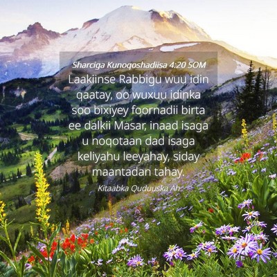 Picture 04 - Sharciga Kunoqoshadiisa 4:20 SOM - Laakiinse Rabbigu wuu idin qaatay, oo wuxuu - Bible Verse Picture