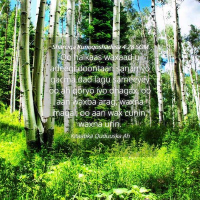 Picture 04 - Sharciga Kunoqoshadiisa 4:28 SOM - Oo halkaas waxaad u adeegi doontaan sanamyo gacma - Bible Verse Picture