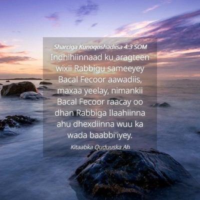 Picture 04 - Sharciga Kunoqoshadiisa 4:3 SOM - Indhihiinnaad ku aragteen wixii Rabbigu sameeyey - Bible Verse Picture