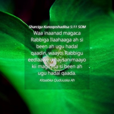 Picture 04 - Sharciga Kunoqoshadiisa 5:11 SOM - Waa inaanad magaca Rabbiga Ilaahaaga ah si been - Bible Verse Picture