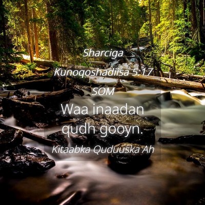 Picture 04 - Sharciga Kunoqoshadiisa 5:17 SOM - Waa inaadan qudh - Bible Verse Picture