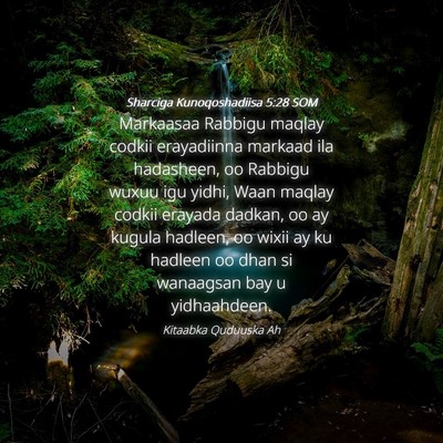 Picture 04 - Sharciga Kunoqoshadiisa 5:28 SOM - Markaasaa Rabbigu maqlay codkii erayadiinna - Bible Verse Picture