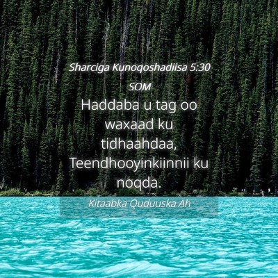 Picture 04 - Sharciga Kunoqoshadiisa 5:30 SOM - Haddaba u tag oo waxaad ku tidhaahdaa, - Bible Verse Picture